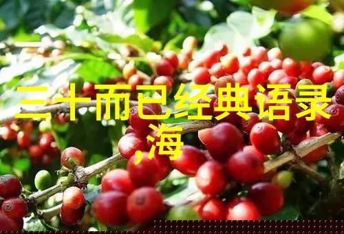 成长的烦恼经典台词