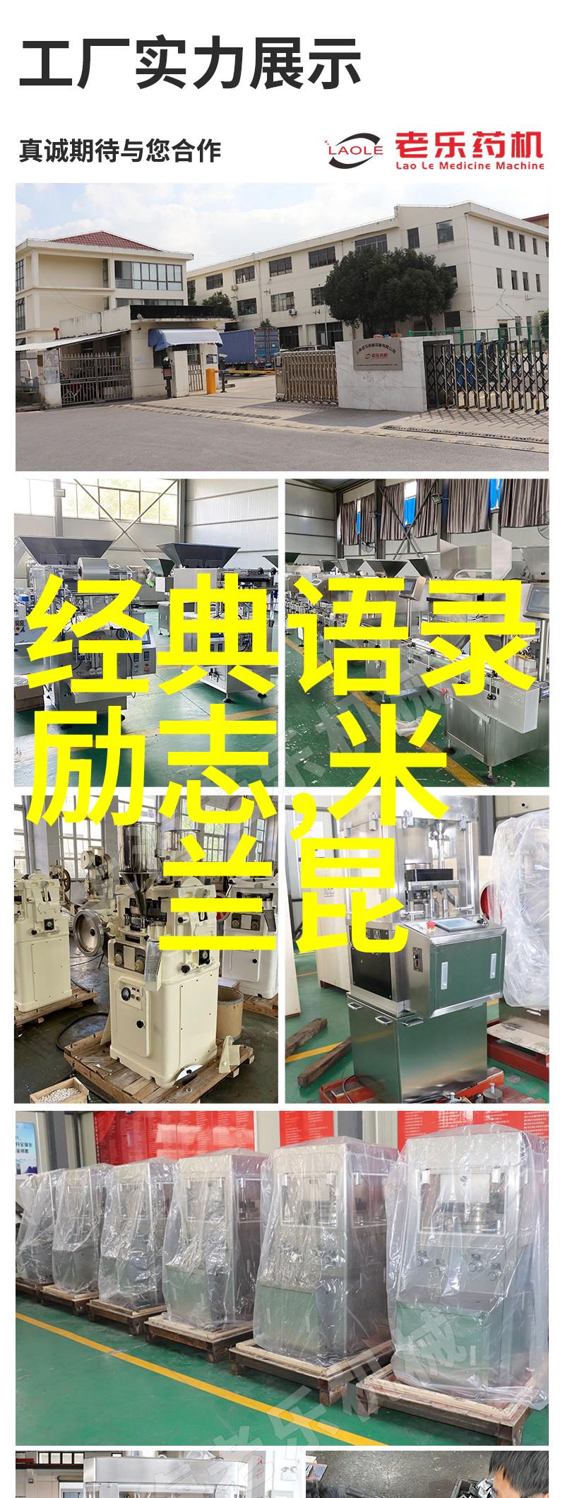 张静初语句
