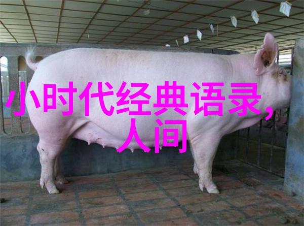 教师对学生的寄语