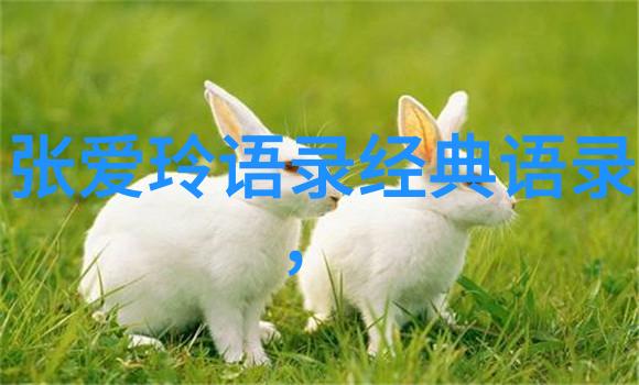 张丰毅经典语句
