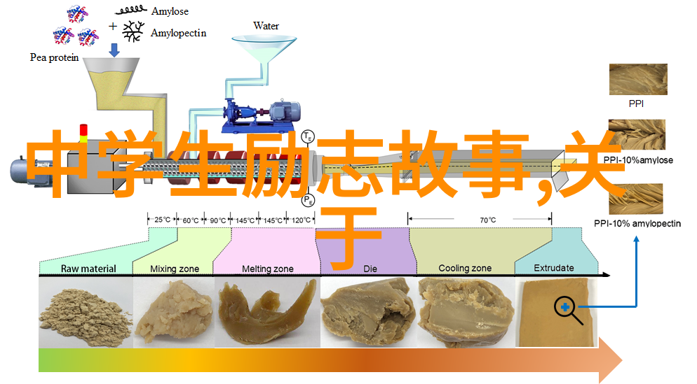三八妇女节名言