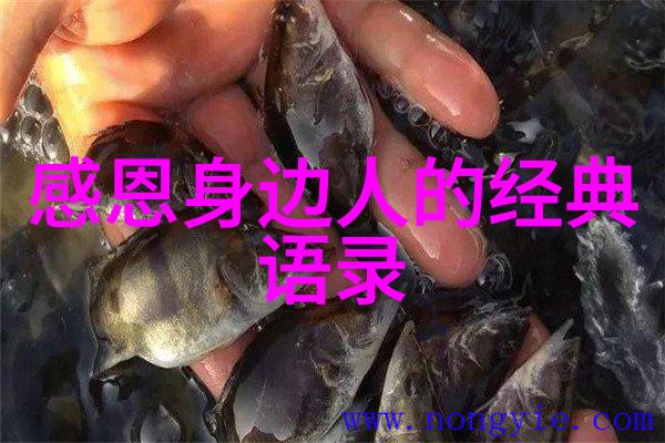 徐熙媛语句